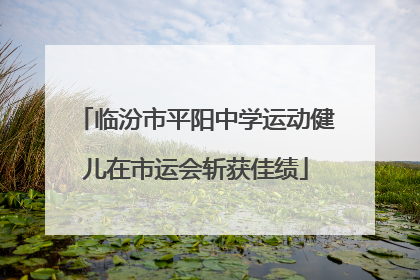 临汾市平阳中学运动健儿在市运会斩获佳绩